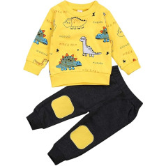 Baby Clothing Outfit Boys Baby Clothing Set T-Shirt Sweatshirt + Trousers Newborn Soft Dinosaur Baby Set