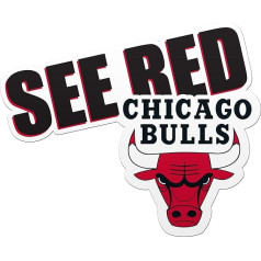 FOCO Chicago Bulls Slogan Magnet