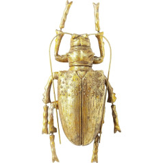 Kare Design Longicorn Beetle Wall Decoration, Gold, Living Room Decoration, Wall Decoration, Accessories, Living Room, Wall Object, Wall Decoration, 7 x 15 x 27 cm