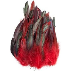 Raibertin 5-7 Inch Natural Saddle Hill Rooster Pheasant Feather for Crafts Costumes Natural Coque Rooster Hack Feather DIY Jewellery Hats Dream Catcher Pack of 100 (Red)