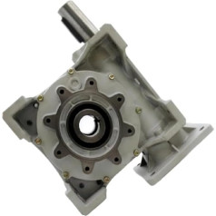 Y63Z1Y0 High Torque Worm Gearbox Gear Motor Gear Reducer Speed Reducer RW110-VS Input19/24/28/38mm Output 42(Ratio 15 to 1,Input 38 FL-132B5)