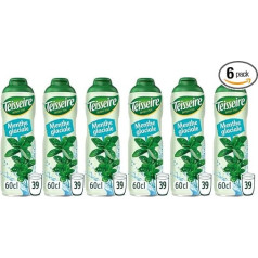 Teisseire Eisminzsirup, 6 x 60 cl, 6 Stück