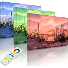 lightbox-multicolor.com Art canvas with LED lighting - grass at the beach at sunset - 100 x 70 cm - fully lighted
