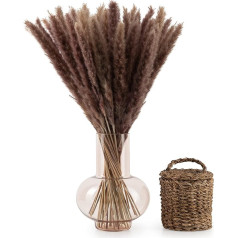 Blumtal Pampas Grass Dried Flowers – Pampas Grass Pack of 50, 58–60 cm, for Dried Flower Bouquet or Dried Flowers Decoration, Pampas Grass Decoration, Boho Style in Pampas Grass Natural Brown