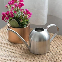 Asvert Watering Can Small Ultra Thin Modern Design Brushed Stainless Steel 1000ml Width 11cm Height 12cm Long Spout Strong Body for Indoor Outdoor (Silver 1L)