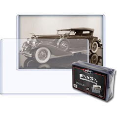 BCW 1-TLCH-8.5X5.5 Bcw 8.5X5.5 – Topload Halter