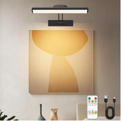 DESGNT Wireless Picture Light with Remote Control, 4000 mAh Rechargeable LED Wall Light, Dart Lighting with Rotating Light Heads, 3 Lighting Types, for Painting Art, Photo, Dartboard