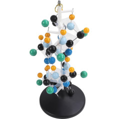 RockVOQRN Molekulares Proteinmodell QH12-2 aus Kunststoff, 3D-Molekularstrukturmodell, bunt, Hilfe für den Biochemieunterricht an der High School