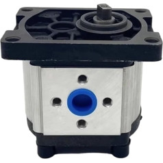 Hydraulic Gear Pump Hydraulic Gear Pump CBN-G304/G306/G310/G314/G316/G320/G325 Oil Pump (CBN-G304 (25MPA)-R, Oblate Shank)