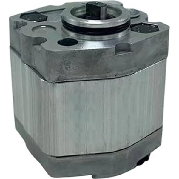 Gear Pump CBT-F201.6/F204.2/F203.2/F203.7/F202.7/F202.6/F204.8 Oil Pump YIJIAN (Color : CBT-F206.0)