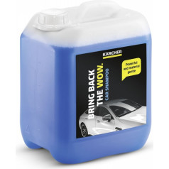 Auto šampūns rm 619 5l 6.295-360.0