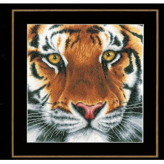 Lanarte Counted Cross Stitch Kit Tiger aida, Synthetic Fiber Multi, 12x12x0.1 cm