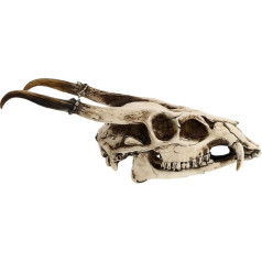 Yardenfun 1 x Goat Skull Decoration Natural Home Decor Fake Skull Model Antler Skull Wall Decoration Halloween Animal Bone Wall Hanging Sheep Skull Head Shapes Resin Artificial
