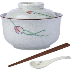 Aegistus Ramen Bowl Ceramic Ramen Bowl Set with Lid 750 ml Soup Bowls Pho, Japanese Vintage Ramen Bowl for Cereal, Soup, Asian Tableware, Microwave and Dishwasher Safe
