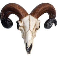 Nemesis Now Realistic Wall Mounted Rams Skull