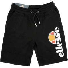 Elesse