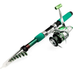 BDXMKS Telescopic Fishing Rod Fishing Rod Combo Telescopic Fishing Rod and Spinning Fishing Reel Fishing Set Carp Fishing Rod Reel Kit (Colour: Rod with Silver Reel, Length: 2.1 m)