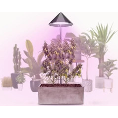 Venso LED Plant Lamp Full Spectrum Canna Sunlite, 30 W Parus Grow Light, Extendable Telescopic Rod up to 170 cm, Ideal for 1-2 Cannabis Plants, Indoor Cultivation, 4000 K, IP54, EU Plug