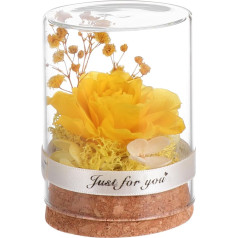 Yardwe Preserved Flower in Glass Dome Everlasting Forever Handmade Rose Galaxy Artificial Flowers Bonquets Valentine's Day Gifts Yellow