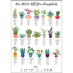 How Not To Kill Your Houseplants Poster Print Home House Plant Care Gift for Natural Plant Lovers Wildlife Poster Cacti (A4 Unframed )