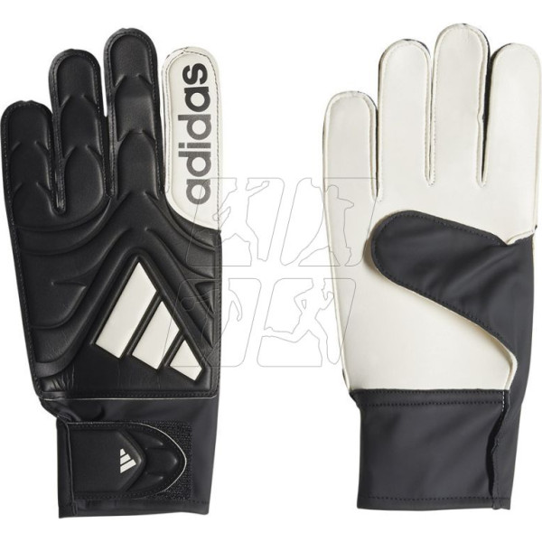 Copa GL Club M cimdi JY0625 / 8.5