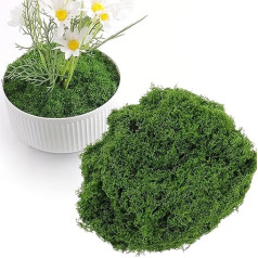 WANYIG 200 g Artificial Moss for Crafts, Art Moss for Decorating, Artificial Moss Decoration, Craft Moss, Decorative Moss Decoration for Model Making, Christmas (Dark Green, 200 g)