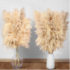 Pack of 16 Large Pampas Grass, DATEFUN Pampas Grass, XXL Boho Decoration, 100 cm, Dried Flowers, Pampas Grass Decoration, Natural & Fluffy, for Floor Vases, Table, Wedding, Living Room, Bedroom