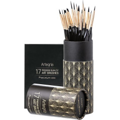 ARTEGRIA Detail Brush Set - 17 Miniature Fine Tip Brushes Ergonomic Handles Dagger Brushes for Small Models, Warhammer 40K DND Paint by Numbers for Adults - Acrylic Watercolor Oil