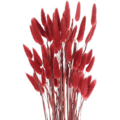 QUARKZMAN Pack of 60 Natural Rabbit Bunny Tails Dried Flowers 24 Inch Mini Pampas Grass Lagurus Ovatus Waistband for Floral Wedding Decoration Christmas, Red