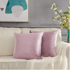 GIGIZAZA Cushion Covers, Cushion Cover Pack of 2 Velvet Decorative Throw Pillow Covers Cases Set Pillow Case for Sofa Bedroom and Car