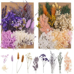 Bohoman Natural Dried Flowers, 2 Bags Dried Flowers, Pressed Dried Flowers, Real Dried Flowers for Resin, Colorful and Mixed Petals, for Crafts, Scrapbooking, Candles,