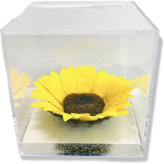 Sunflower Cube Stabilised 12cm with Base Water Effect Eternal Sun Visor Gift Idea for Girlfriend Mum Christmas Birthday Anniversary Girlfriend Gift Idea for Her (12cm, Sunflowers)