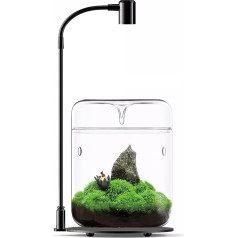 Glass Plants Terrarium 12 x 17.5 cm Succulent Air Planter Fern Moss Micro Landscape Vase for Decoration of Home Office Table Top Container with Lid Indoor (with Light)