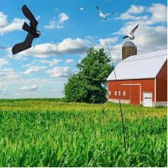 Scarecrow Bird Scarer, Scarecrow Dragon with 6 m Pole Bird Scarer Kite Flying Scarecrow with Telescopic Rod Garden Figure Bird Dragon Natural Pest Control Protection Raven