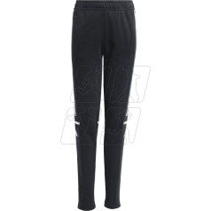 Squadra 25 Sweat Jr bikses JE2762 / 164