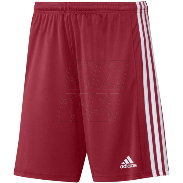 Squadra 21 Short M GN5771 / XS šorti