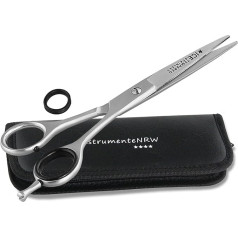Professional Hairdressing Scissors 2-Sided Micro Teeth 6 Inches in Elegant Storage Case