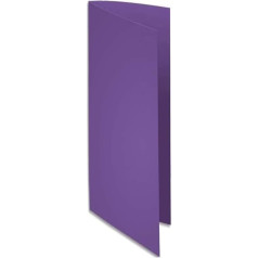 Exacompta - Ref 210008E - Rocks Square 240mm x 320mm A4 Document Folder 210gsm Coloured Card - Purple (Pack of 100)