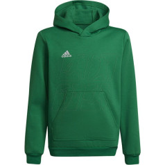 Svīteris Entrada 22 Hoody Y Jr HI2143 / 164 cm