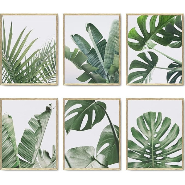 HoozGee Botanical Wall Art Prints Set of 6 Tropical Leaves Decor Plant Leaf Wall Art Canvas Prints for Wall Decoration Green Wall Art Poster Set for Living Room Decor (8x10 Inch