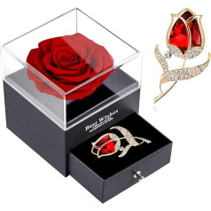Red Rose Gift Box - SWEETIME Enchanted Real Rose with Ruby Rose Brooch, Eternal Rose in Jewelry Box, Handmade Preserved Rose, Gift for Her on Mother's Day, Anniversary