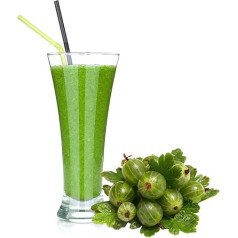 Gooseberry Whey Powder Luxofit Enriched with L-Carnitine Protein Wellness Drink Aspartame Free Whey (1 kg)