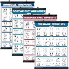 Palace Learning 4er-Pack – Hanteltraining + Körpergewichtsübungen + Widerstandsbänder Workouts + Aufwärmübungen – Set mit 4 Workout-Diagrammen (laminiert mit Kunststoffrahmen, 45,7 x 61 cm)