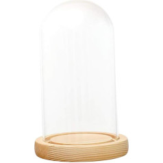 Fenteer High-quality glass cover cloche decorative glass dome glass dome glass bell with wooden base, F 12 x 20 cm