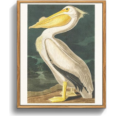 MHARTK66 Vintage Bird Canvas Pictures with Frame Wood, 30 x 40 cm Wall Pictures Living Room White Pelican Picture Aesthetic, Animal Illustration Wall Decoration Bedroom Bathroom Office Room