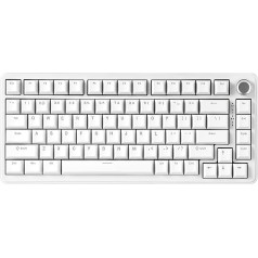 YUNZII B75 Mechanical Keyboard, 75% Hot Swappable Keyboard with Button, RGB Backlit Seal Gaming Keyboard with Double-Shot PBT Keycaps, Cherry Profile (White, Blue Grey Tactile Switch)