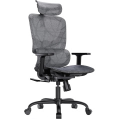 HUANUO Ergonomic Mesh Office Chair, High Backrest Desk Chair with Adjustable Lumbar Support, Armrests, Tilt Function, Mesh Computer Gaming Chair