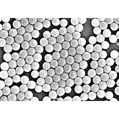 Alpha Nanotech Colloidal Polystyrene Beads (Carboxilado; 200nm - 20um) (200nm, 10mg/ml)
