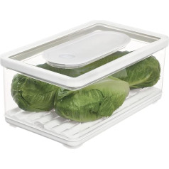 iDesign Storage Container with Lid, Large Fridge Organiser for Fruit & Vegetables with Air Regulation, Transparent/White/Green