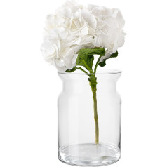 TREND FOR HOME Glass Cylinder H: 25 cm Glass Vase Round Large Vase Transparent Round Vase for Roses Dried Flowers Bouquet Flower Vase Wedding Decoration Glass Vase Cylinder Diameter 18 cm 5500 ml